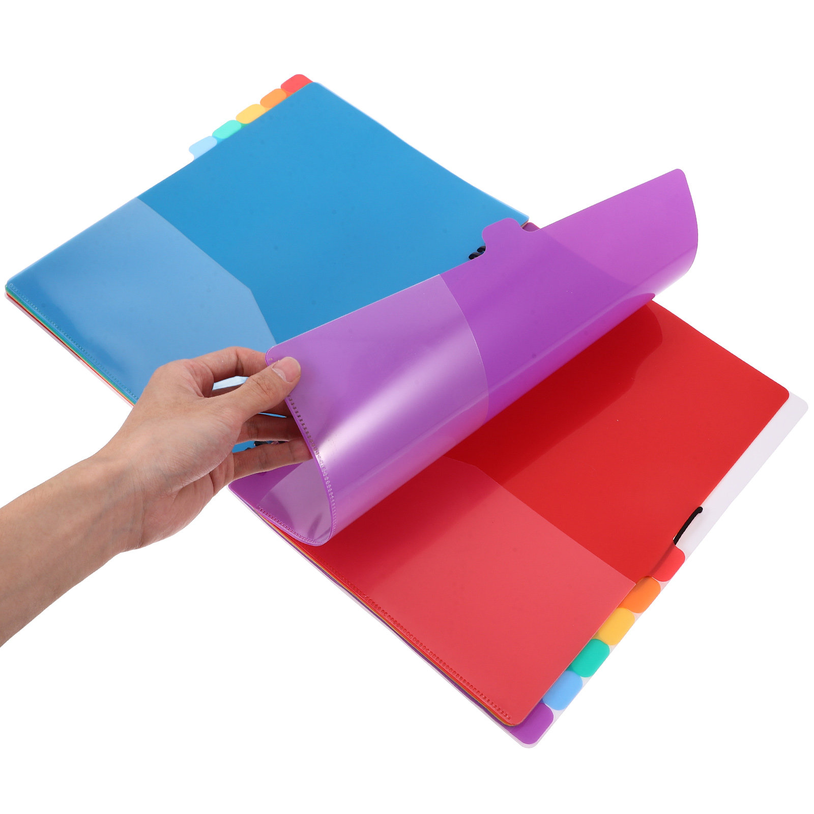 A4 Document Organizer File Bin - Tab Divider A4 评论和价格
