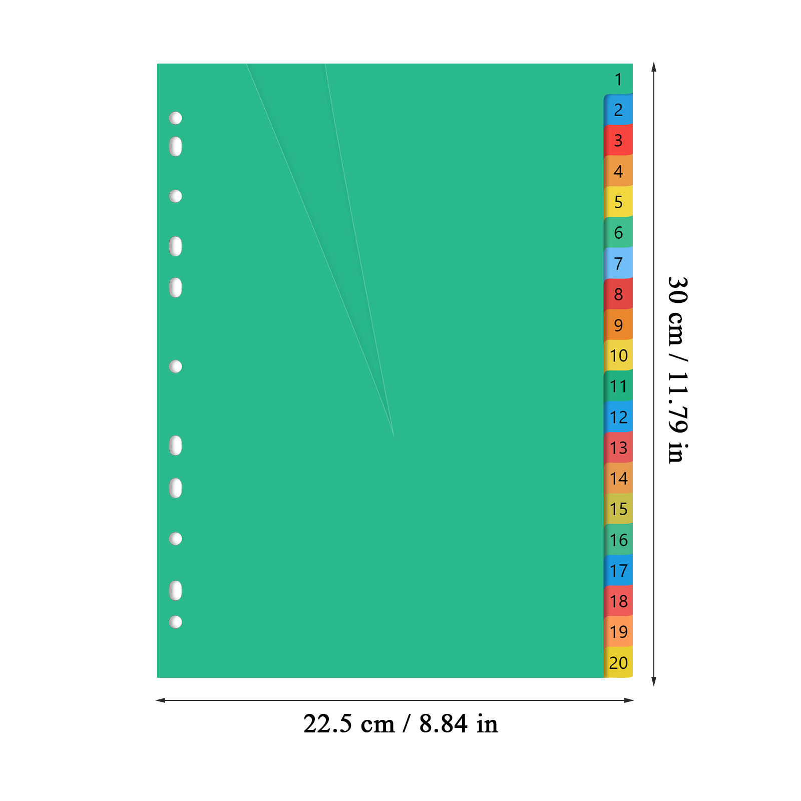 20 Pages A4 Size Color Coded P - Tab Divider A4 评论和价格