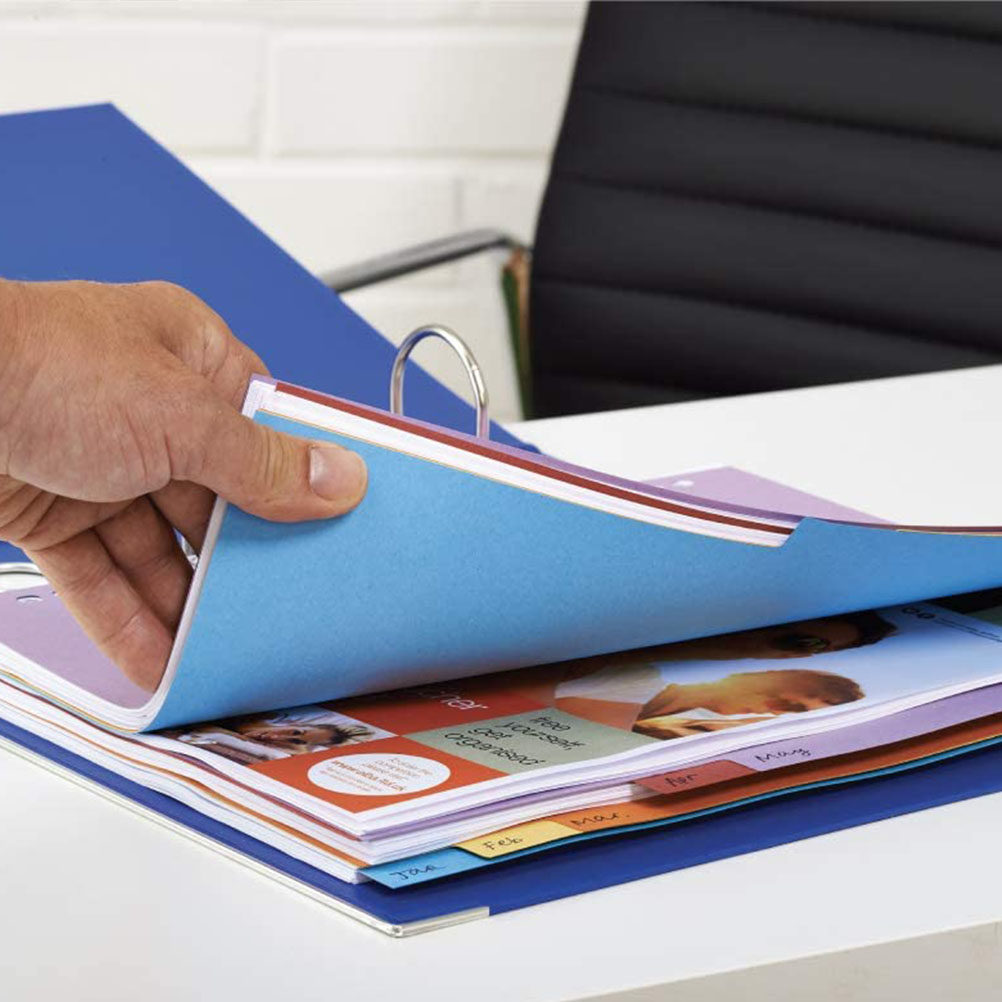 12Pcs A4 Index Dividers 11 Hol - Tab Divider A4 评论和价格